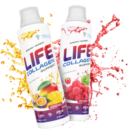 Life Collagen Support 500 мл (Tree of Life)