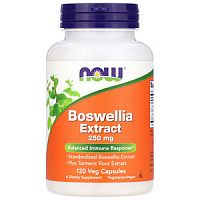 Boswellia Extract (Экстракт Смолы Босвеллии) 250 мг 120 капсул (Now Foods)