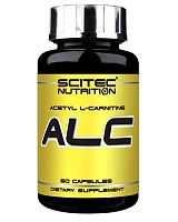 ALC (Ацетил Л-Карнитин) 60 капсул (Scitec Nutrition)